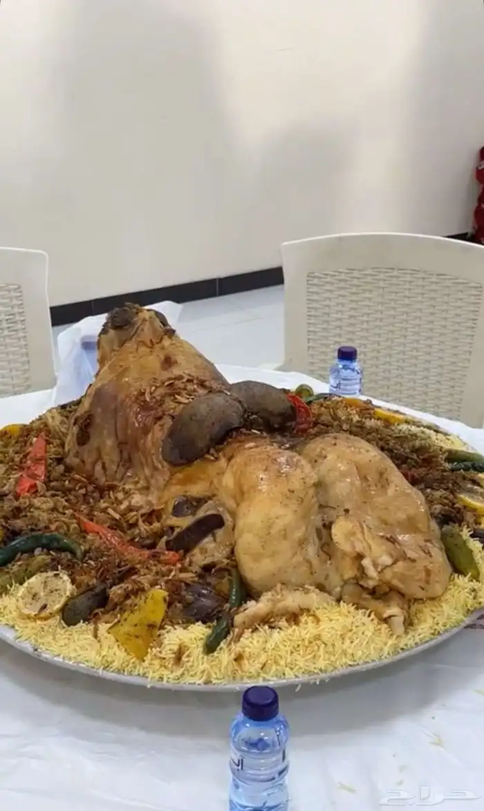 ذبايح حايل 24