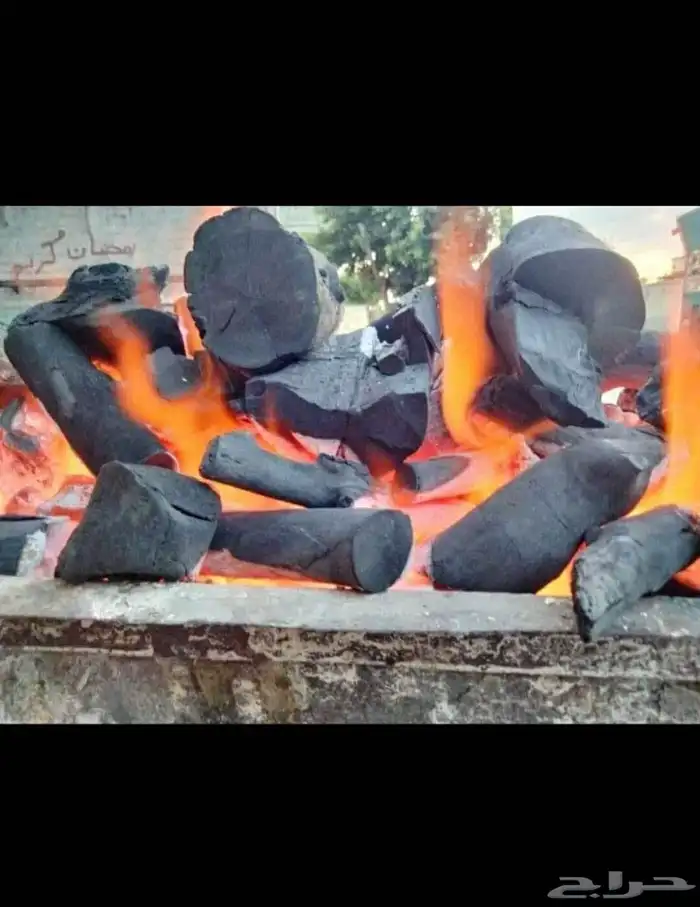 توريد فحم طبيعي مورد فحم اندونيسي ممتاز للمطاعم والكافيهات 1