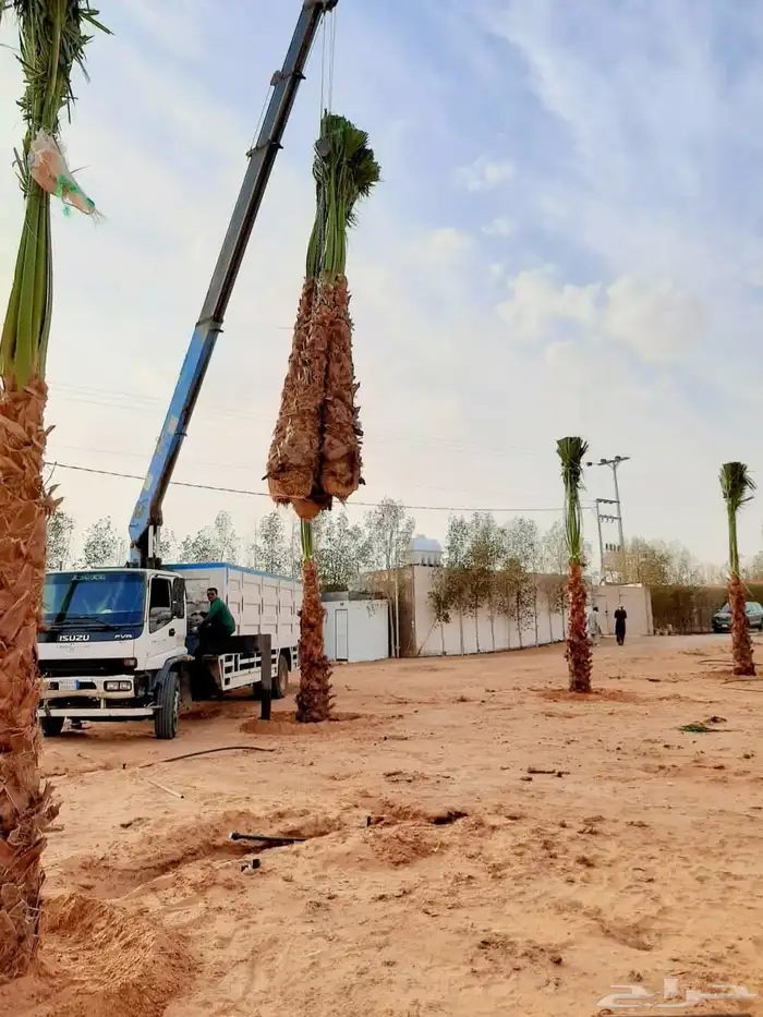 الدمام الشرقيه 6