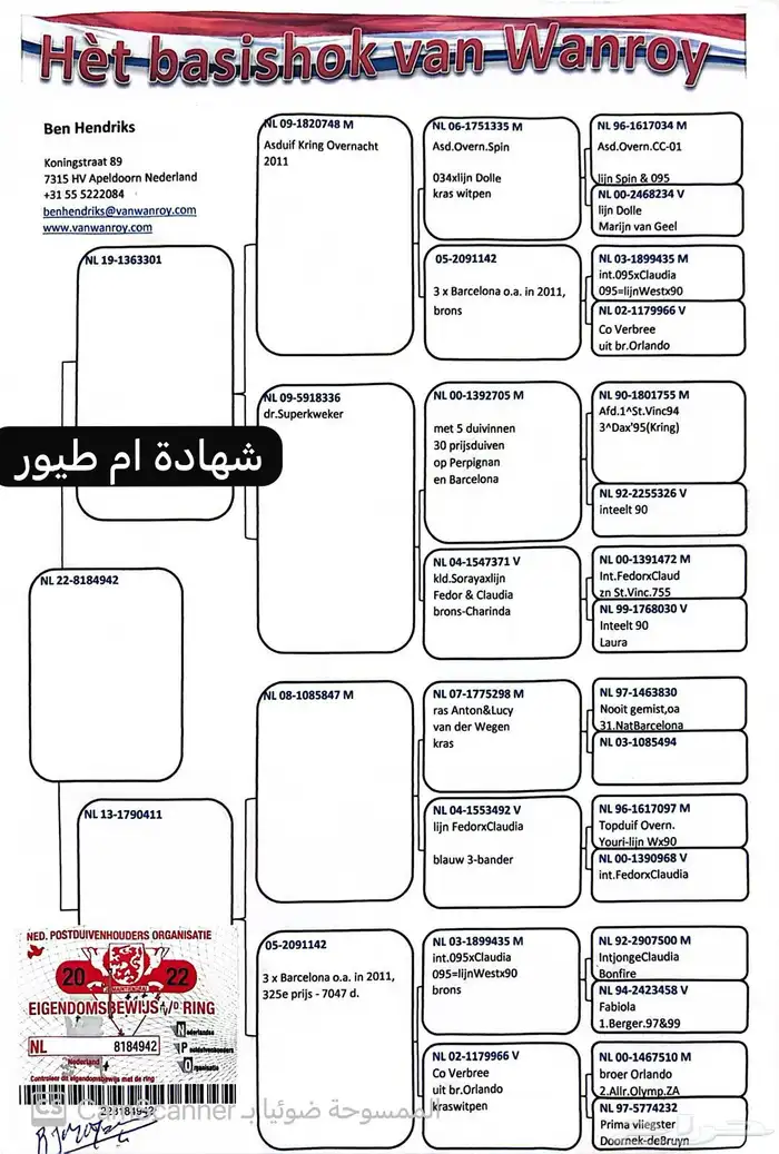 فروخ فان روي x جان اردن ( بشهادات) 2