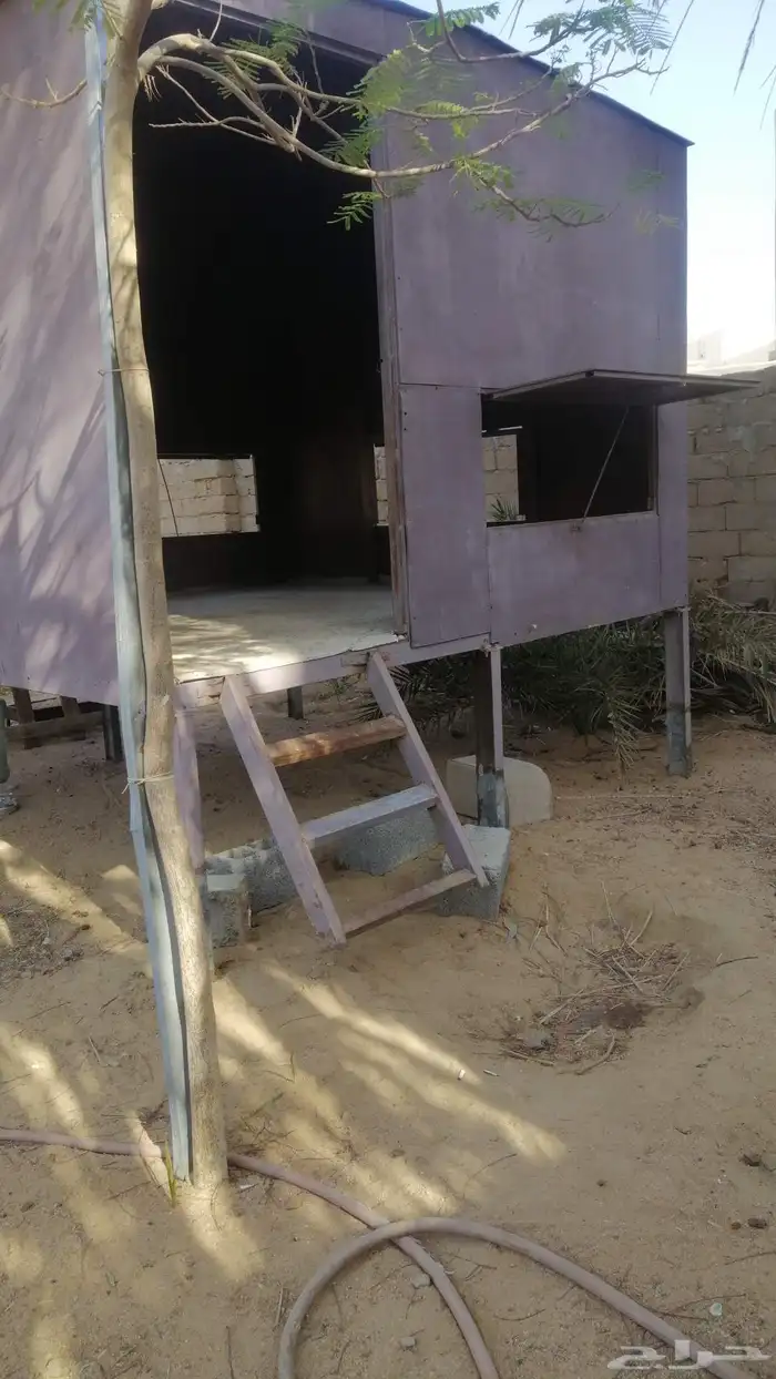 عزبه 3 في 3 نظيفه مرتفعه متر عن الارض بدون كفرات من داخلها 3