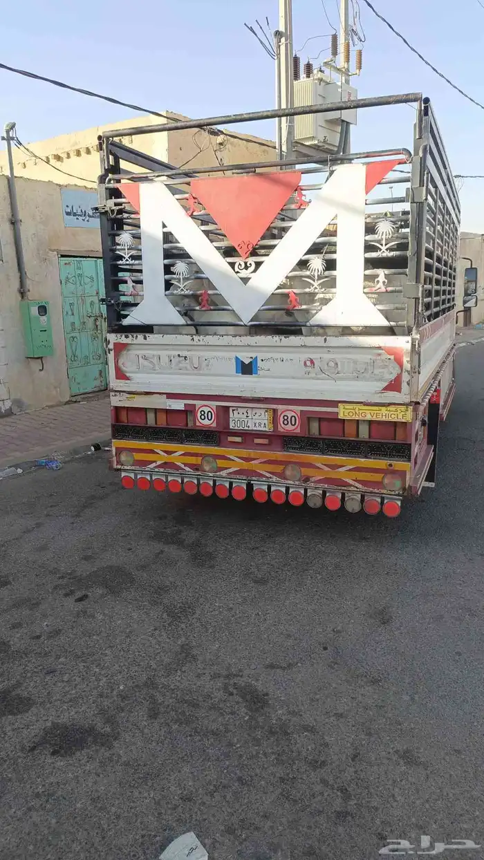 دينا ايسوزو 2013 2