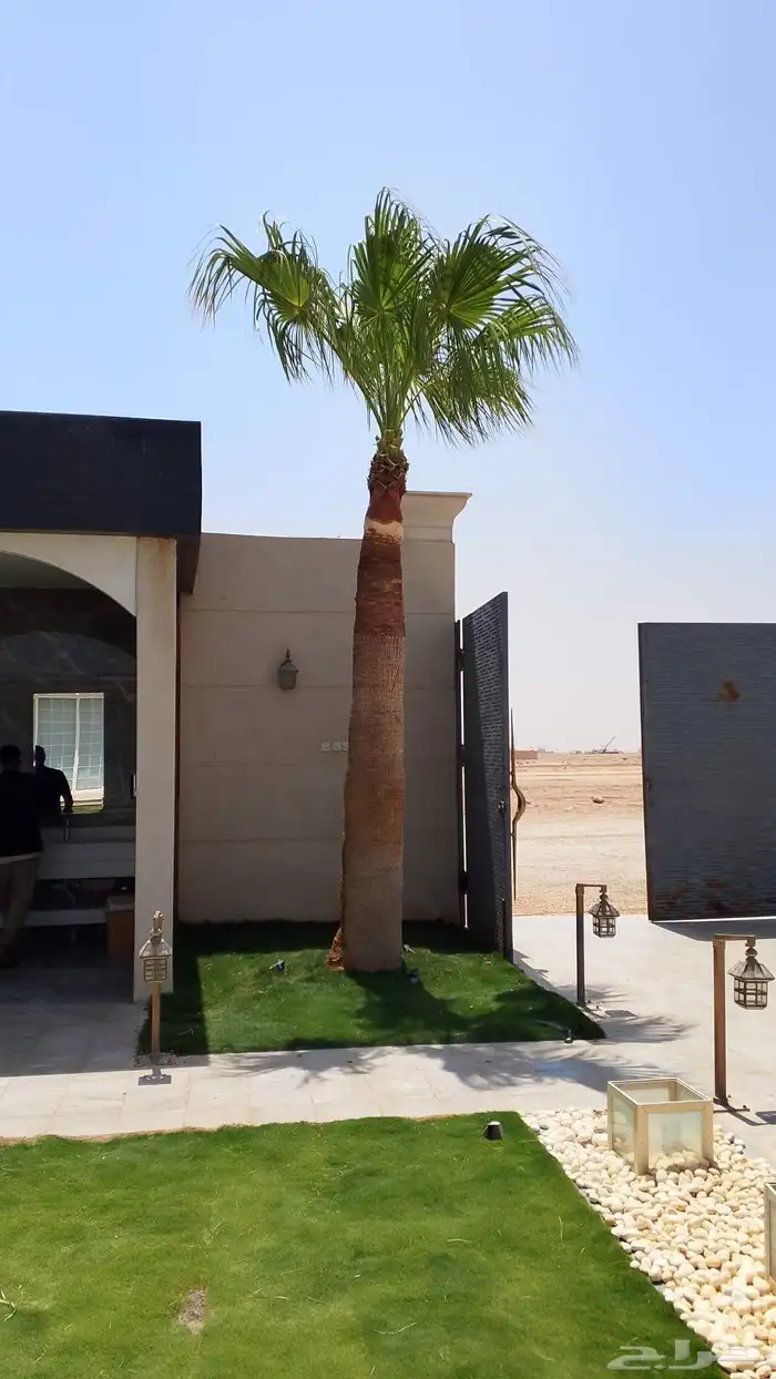 تكريب وشنتن تكريب. 8