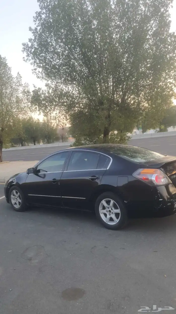 كويلات التيما من 2008 إلى 2012 أصلي حق بلادها 1