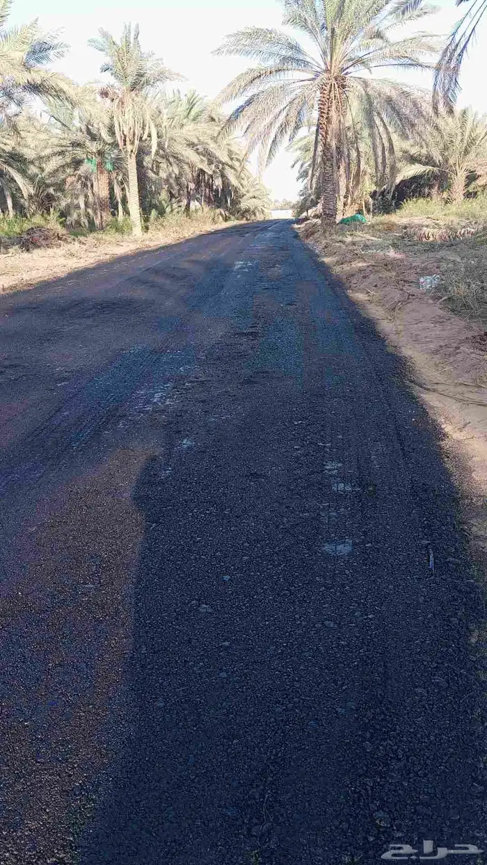 زفلت مقشور 2