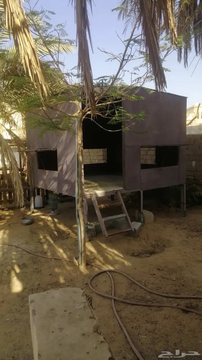 عزبه 3 في 3 نظيفه مرتفعه متر عن الارض بدون كفرات من داخلها 2