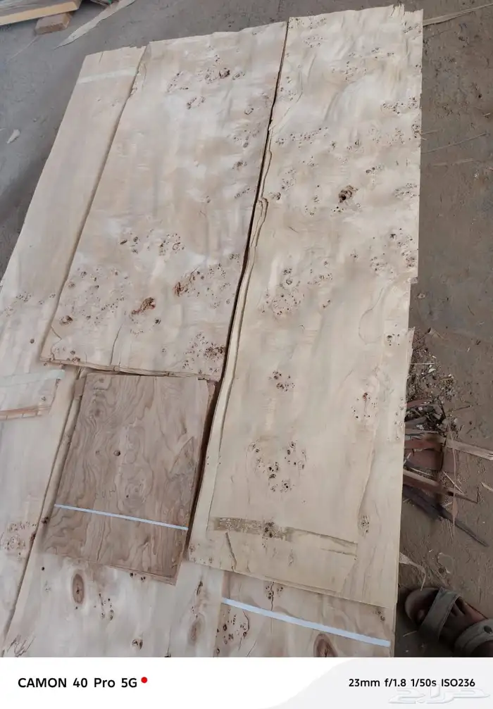 قشور طبيعية وصناعية 5