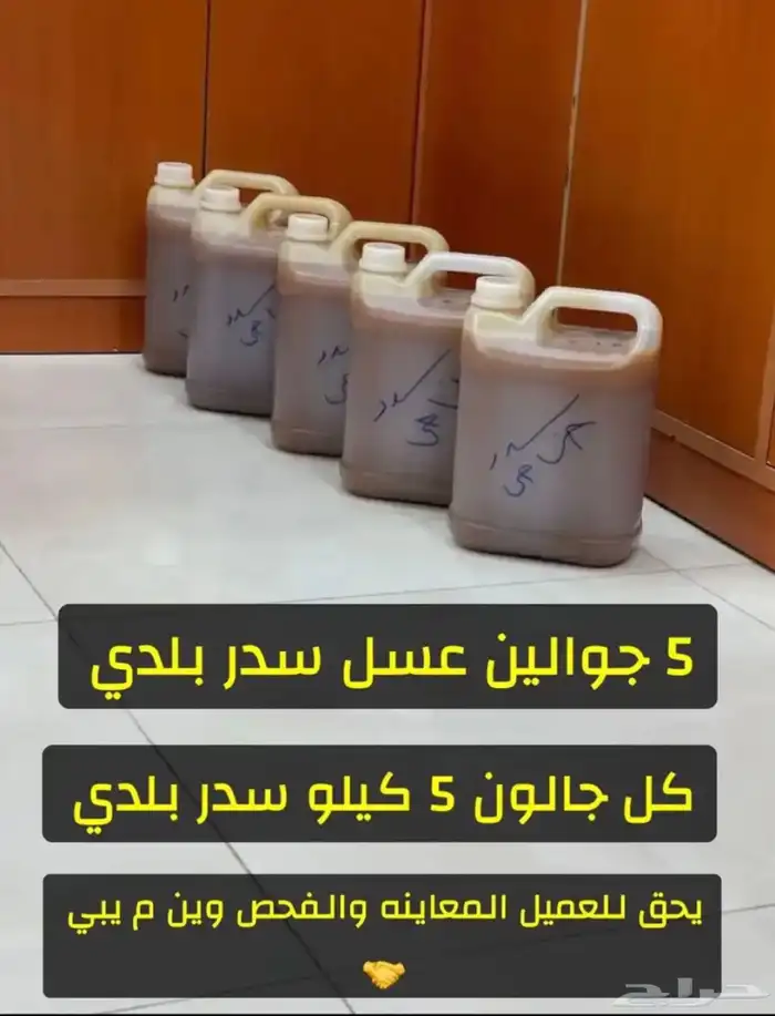 عسل سدر بلدي قطفة جديده واضمنه 0