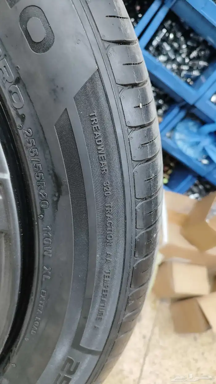 جنوط جيتور T2 2025 6