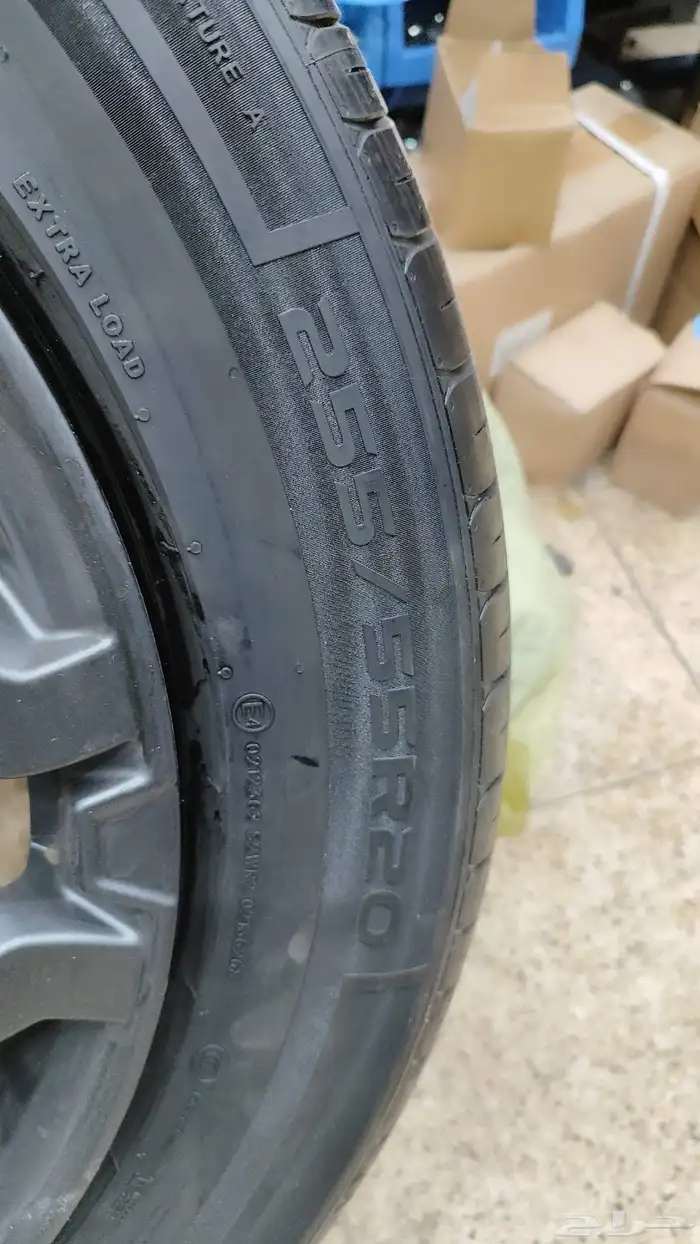 جنوط جيتور T2 2025 7