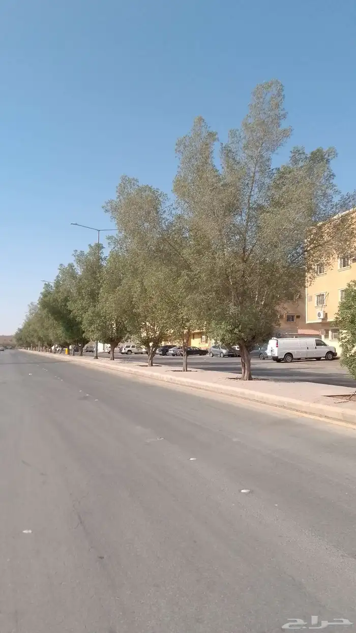 مطلوب غرفة عزاب في حي الشفاء او شقه 0