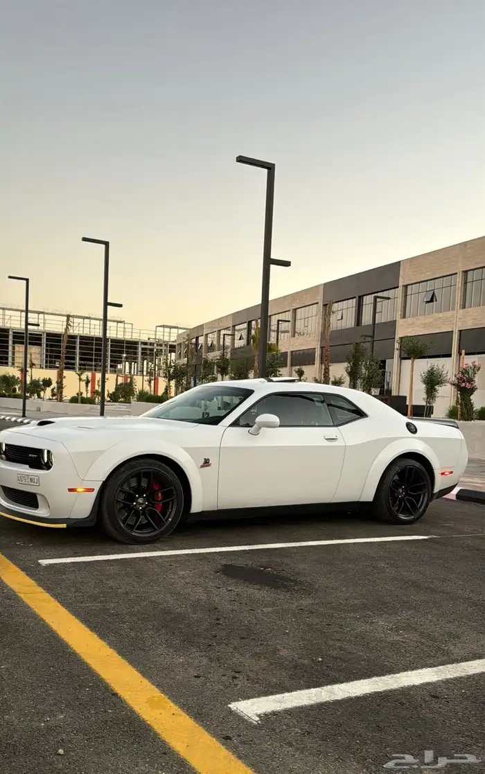 دودج تشالنجر 0