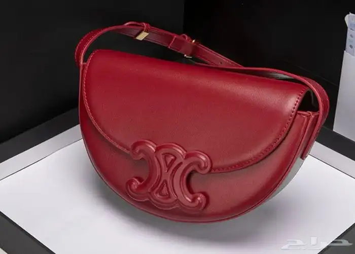 شنطه ماركات ديور قودشي شانيل وجميع إلى منزله متوفره لطلب 13