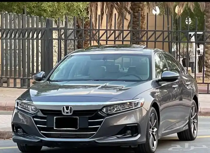 هولندا اكورد 2022 1
