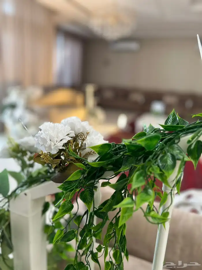 تنسيق حفلات 1