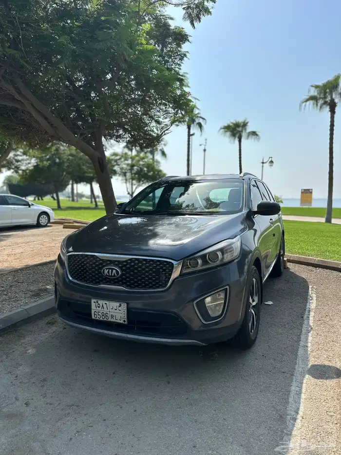 الرياض حي الورود 3