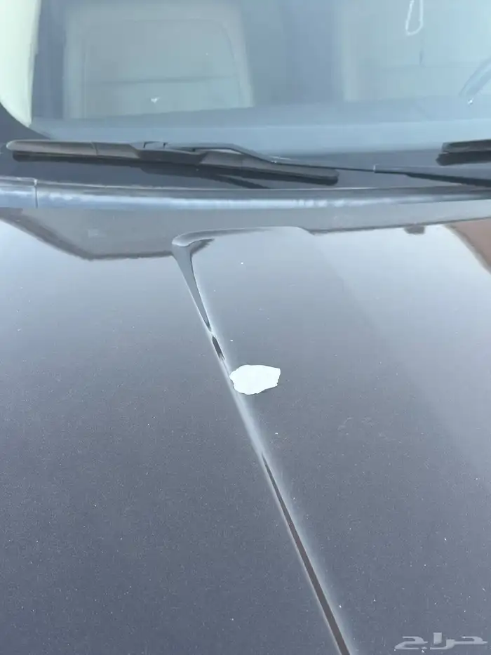 فلكس 2014 نص فل 24