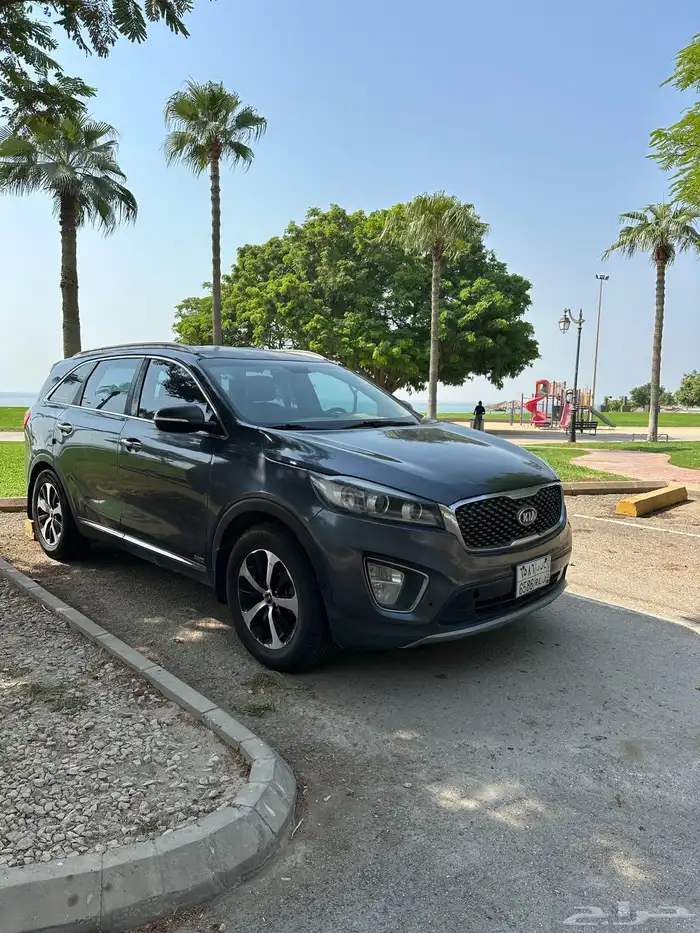 الرياض حي الورود 0