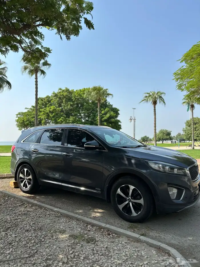 الرياض حي الورود 1