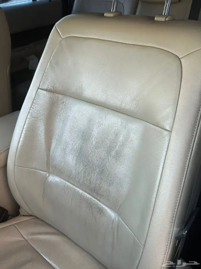 فلكس 2014 نص فل 14