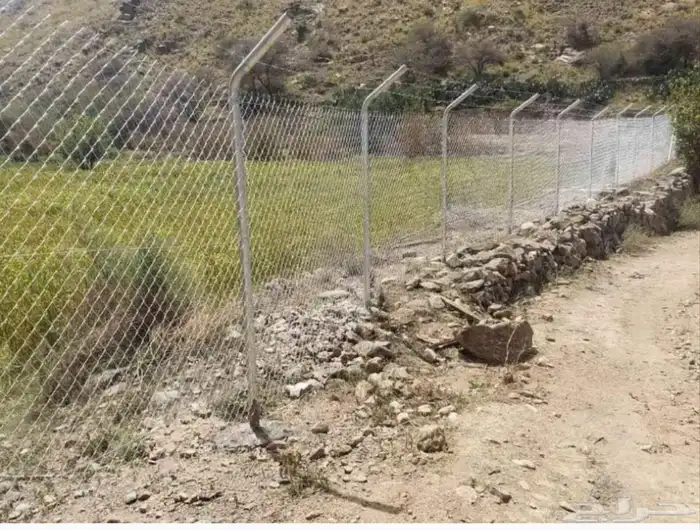 تركيب شبوك وزرعه نخل 3