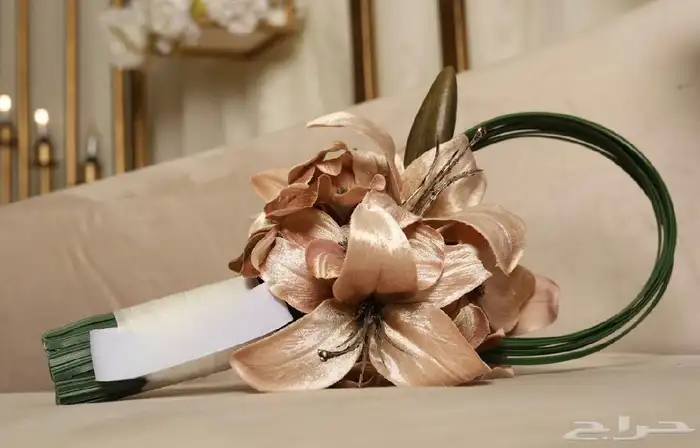 مسكه لون بيج وفستان 2