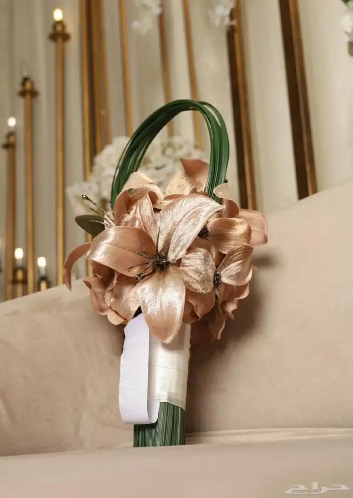 مسكه لون بيج وفستان 0