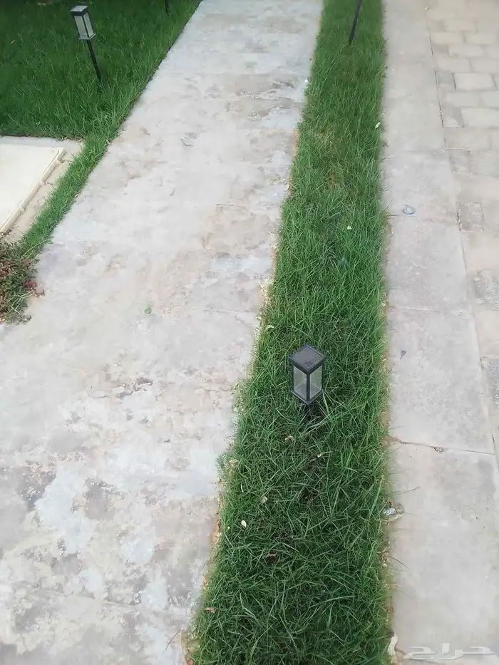 تنسيق حدائق 8