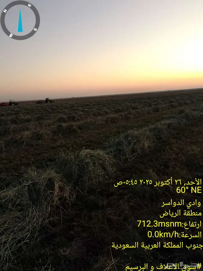 رودس صافي حبه كبيره من شركه المتحدة للاعلاف في وادي الدواسر 5