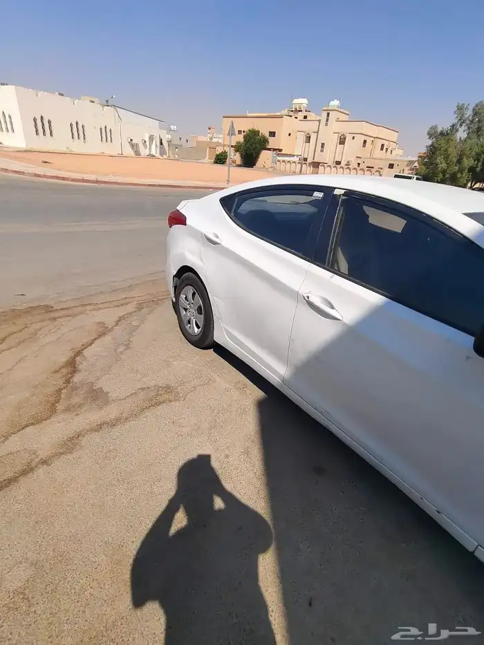 النتراء 12