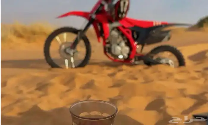 دباب صحراوي 4