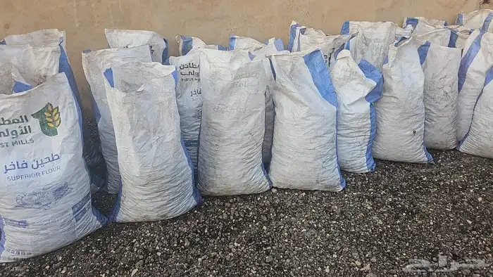 تمر علف نظيف العدد 50 1