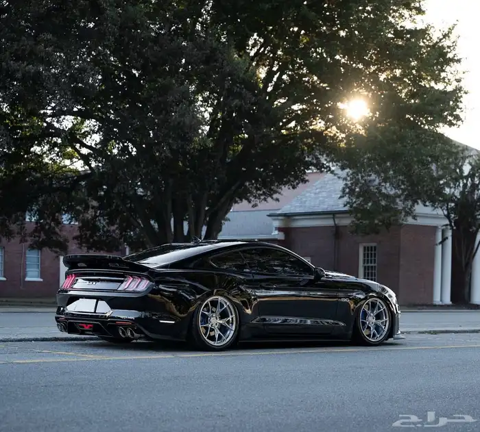 مطلوب موستانج 2015 الى 2019 0