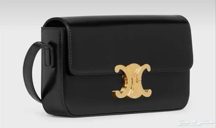 شنطه ماركات ديور قودشي شانيل وجميع إلى منزله متوفره لطلب 28