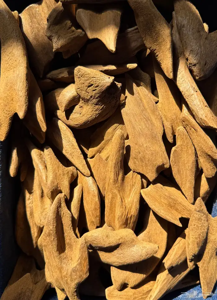 اجود انواع المحسنات تايقر   مروكي 4