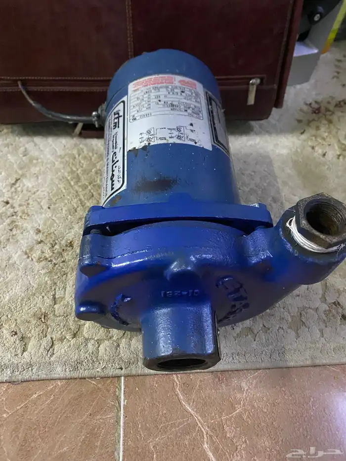 دينمو سمنان أمريكي 2