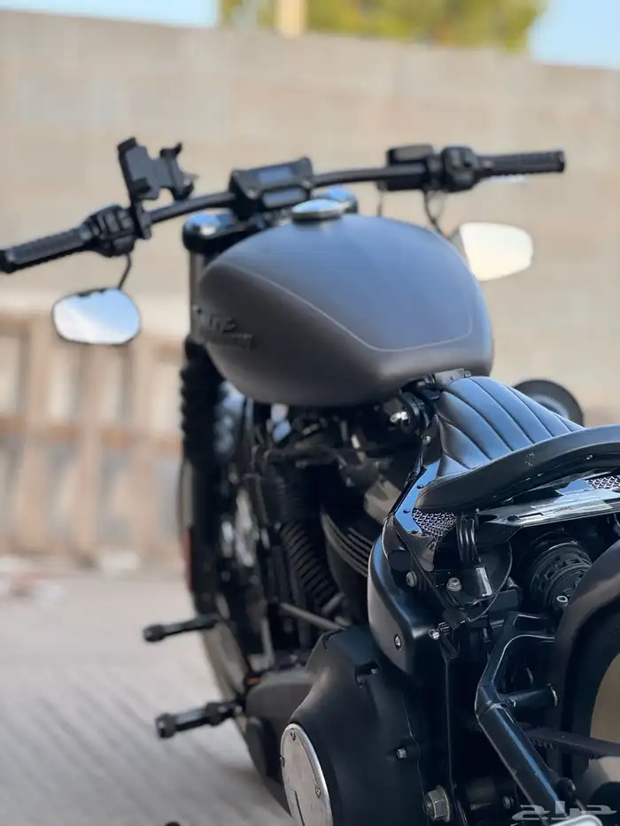 2019 street bob Softail bobber style 4