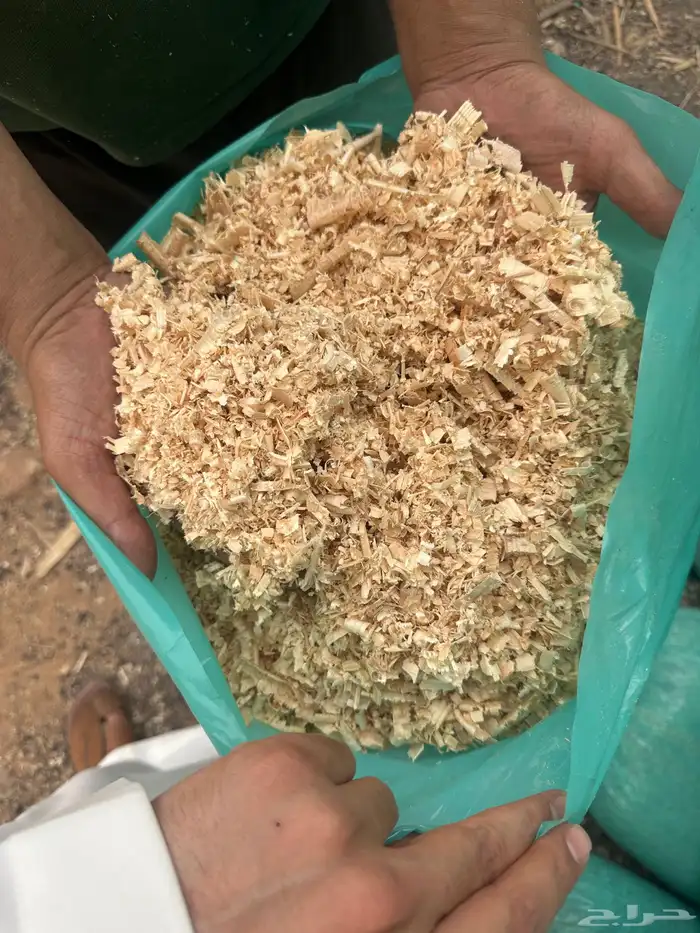 نشارة دواجن 1