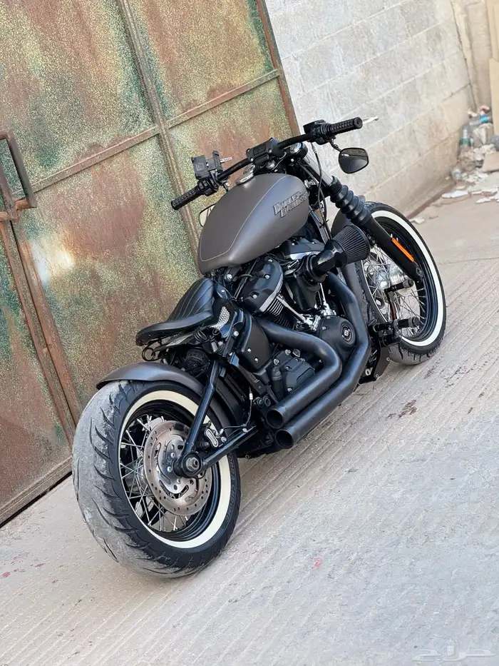 2019 street bob Softail bobber style 3