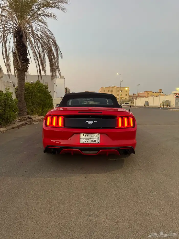 موستنج 2017 فل كامل للبيع 3