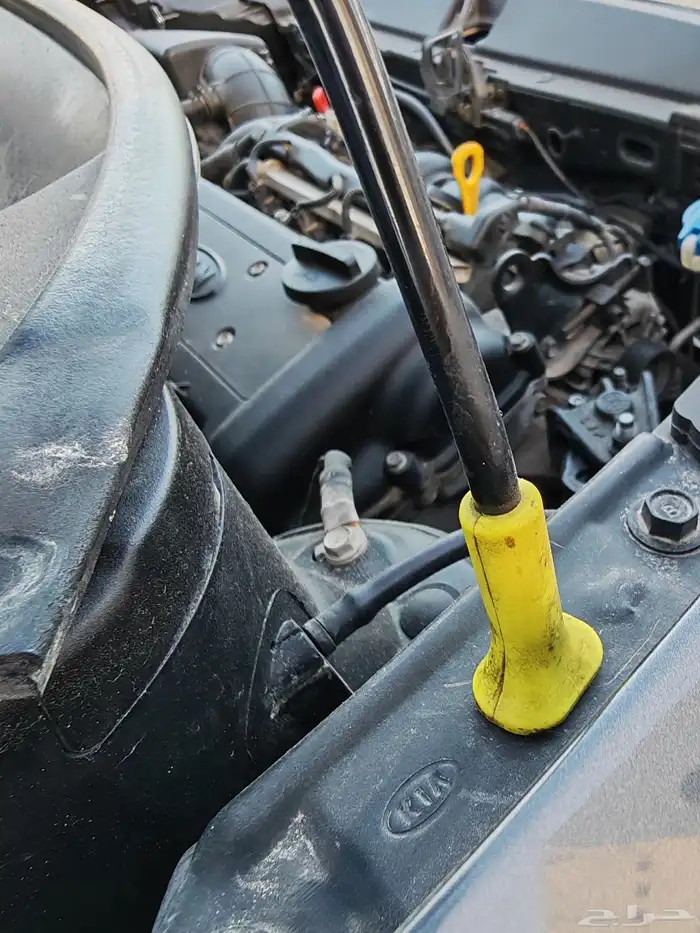 كيا ريو 2016 الجبر كاش او اقساط 39