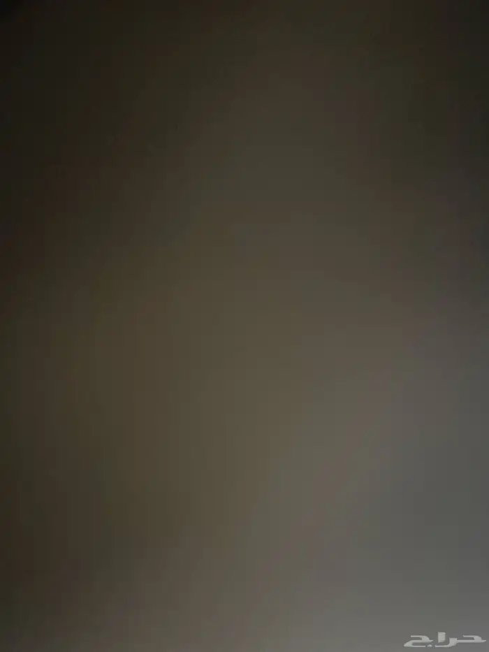 مطلوب بذور برسيم امريكي 0