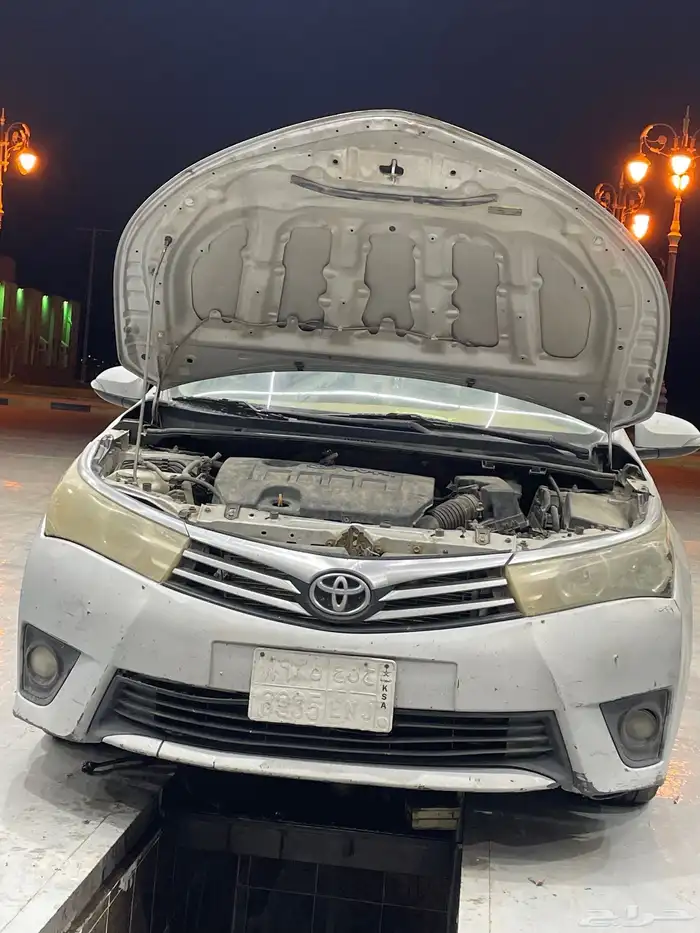 كورلا جنوط بصمه للبيع 0