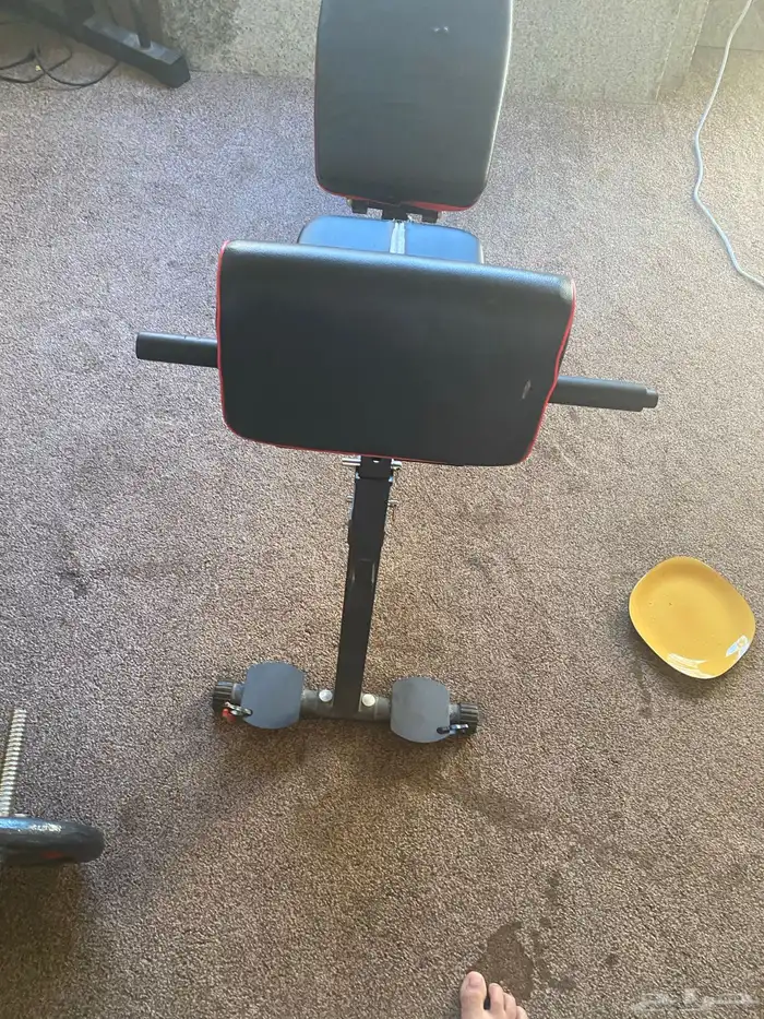 نادي متكامل 6