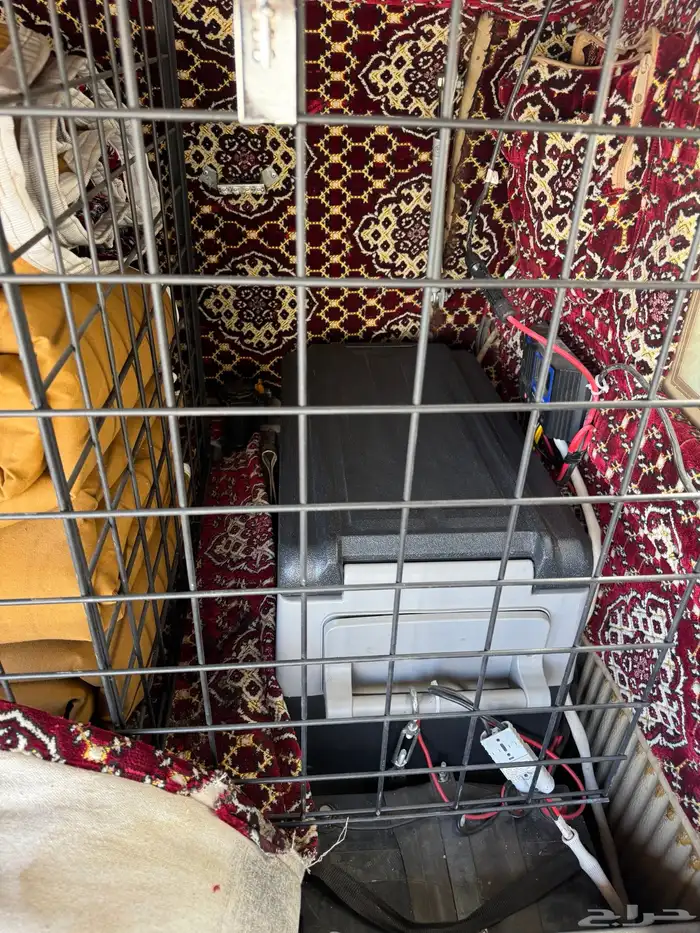 جيب شاص 2012 سعودي 3