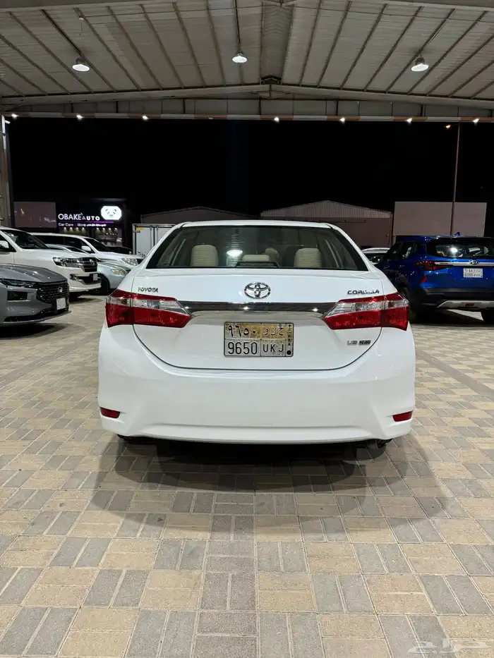 كورلاء 2015 الممشى161كم 3