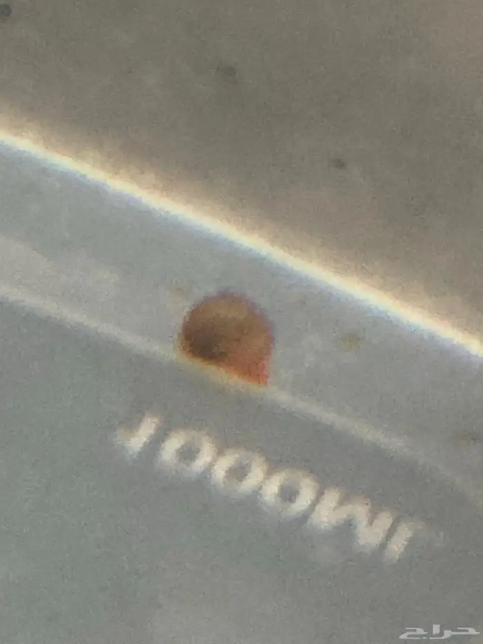 حلزون ترمبت ورامشون 1