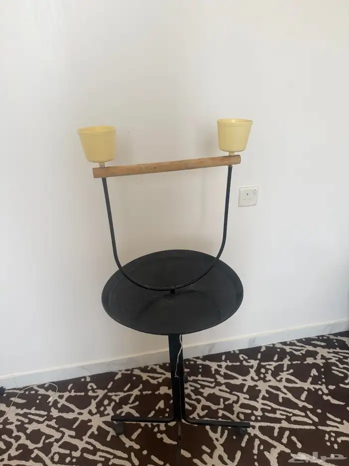 قفص   استاند كاسكو   او اي ببغاء 1