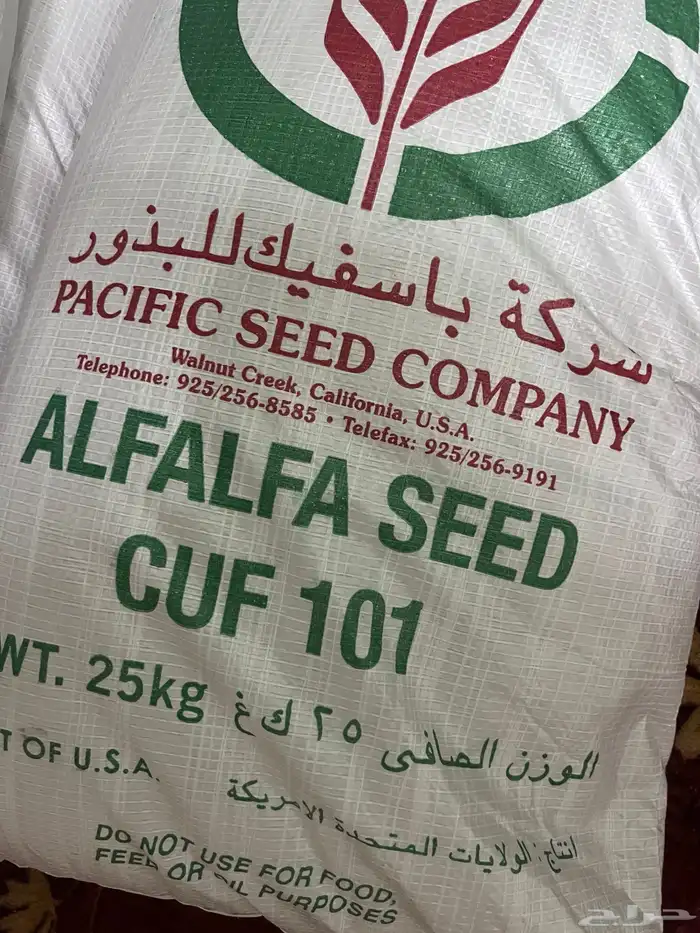 بذر برسيم امريكي باسفيك للبيع 0