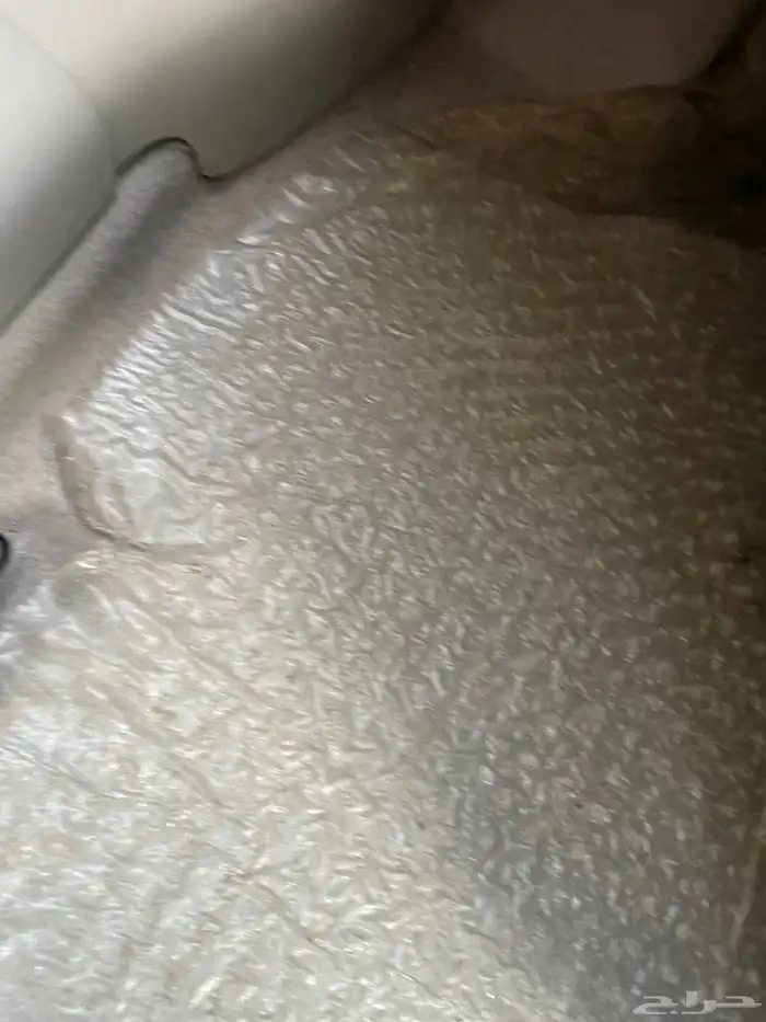 صني 2022 ممشى قليل 6